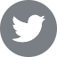 Social Icon 3 Alt Text